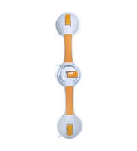 Primary Image Link