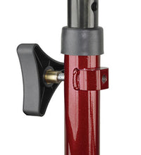 Primary Image Link
