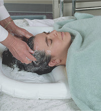 Primary Image Link