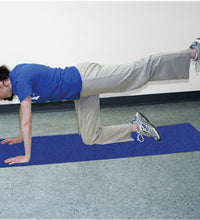 Primary Image Link