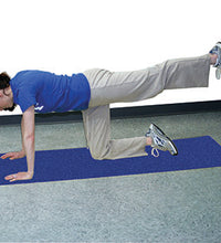 Primary Image Link