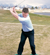 Primary Image Link