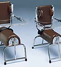 Primary Image Link