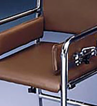 Primary Image Link