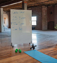 Primary Image Link