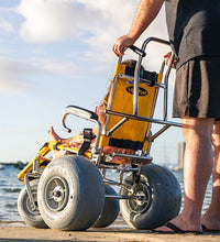 Primary Image Link