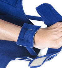 Primary Image Link