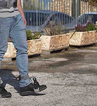 Primary Image Link