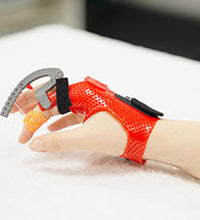 Primary Image Link
