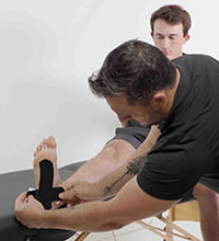 Primary Image Link
