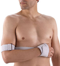 Primary Image Link