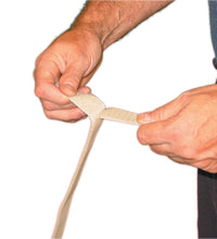 Primary Image Link