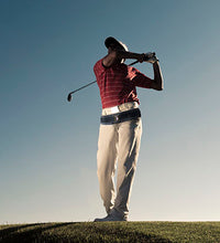 Primary Image Link