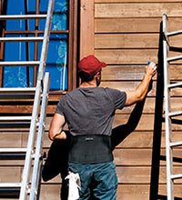 Primary Image Link