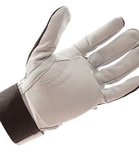 Primary Image Link
