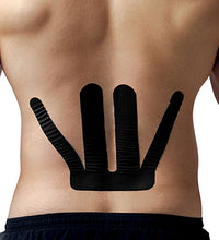 Primary Image Link