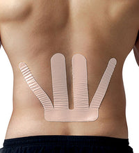 Primary Image Link