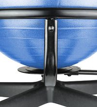 Primary Image Link