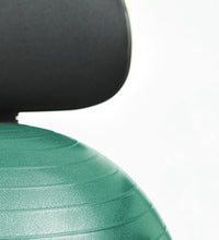 Primary Image Link