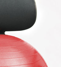 Primary Image Link