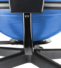 Primary Image Link
