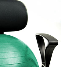 Primary Image Link
