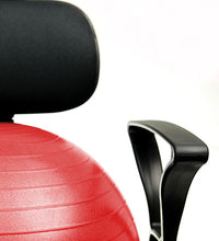 Primary Image Link