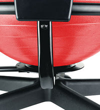 Primary Image Link