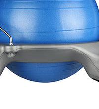Primary Image Link