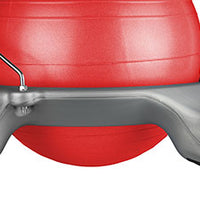 Primary Image Link