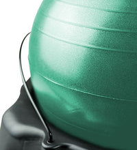 Primary Image Link