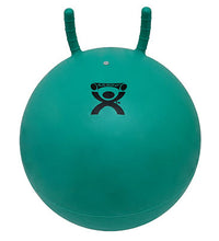 Primary Image Link