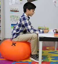 Primary Image Link