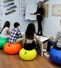 Primary Image Link