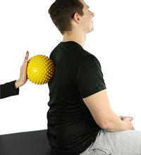 Primary Image Link