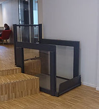 Primary Image Link