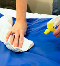 Primary Image Link