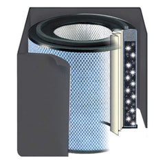 Black Replacement Filter For The Austin Air, Healthmate Plus