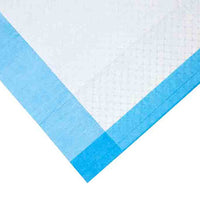 Primary Image Link