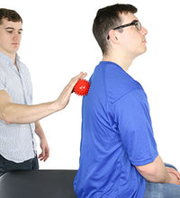 Primary Image Link