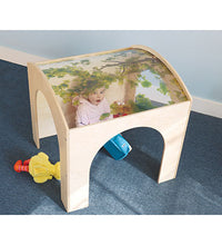 Primary Image Link