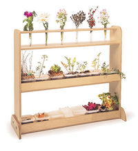 Primary Image Link