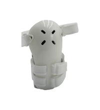 Primary Image Link