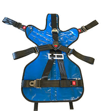 Primary Image Link