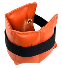 Primary Image Link
