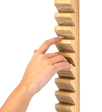 Primary Image Link