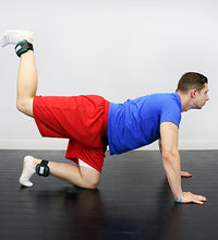 Primary Image Link