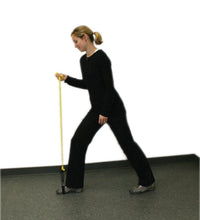 Primary Image Link