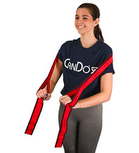 Primary Image Link