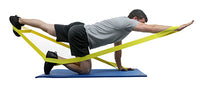 Primary Image Link